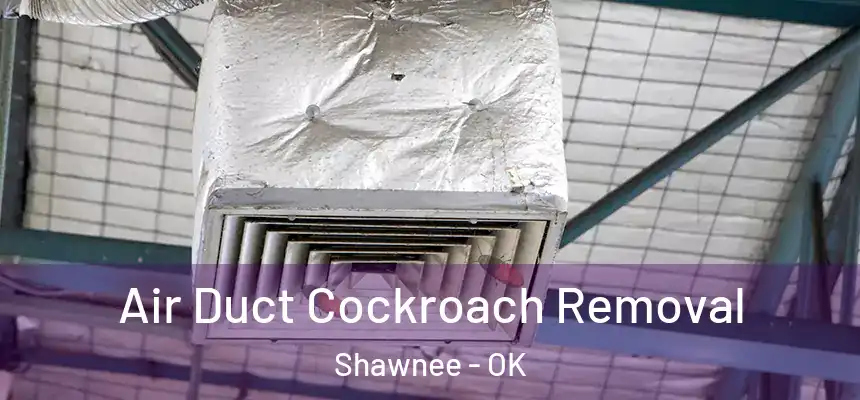  Air Duct Cockroach Removal Shawnee - OK