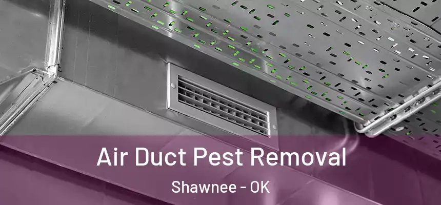  Air Duct Pest Removal Shawnee - OK