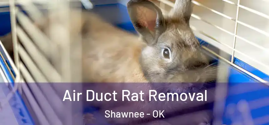  Air Duct Rat Removal Shawnee - OK