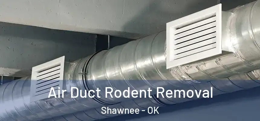 Air Duct Rodent Removal Shawnee - OK