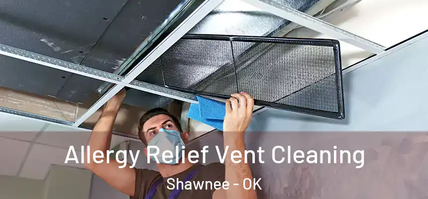  Allergy Relief Vent Cleaning Shawnee - OK