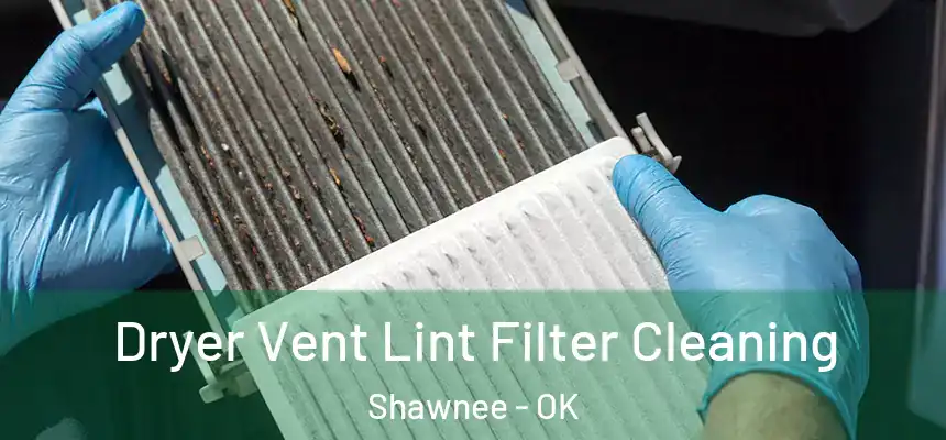  Dryer Vent Lint Filter Cleaning Shawnee - OK