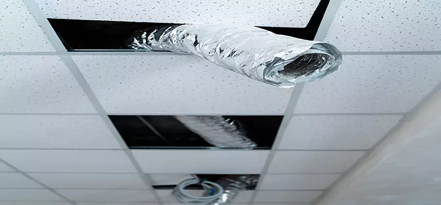 Affordable HVAC Sanitizing After Pest Removal in Shawnee