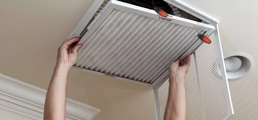 Our Insect Removal from Air Ducts Services in Shawnee, OK