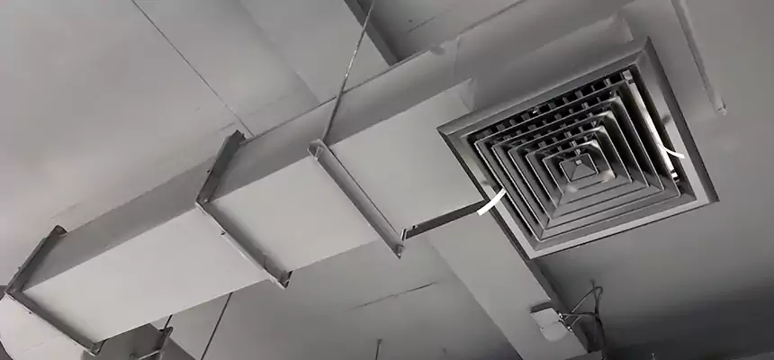 Our Pest Removal From Ducts Services in Shawnee, OK