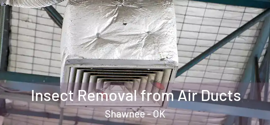  Insect Removal from Air Ducts Shawnee - OK