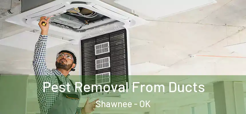  Pest Removal From Ducts Shawnee - OK