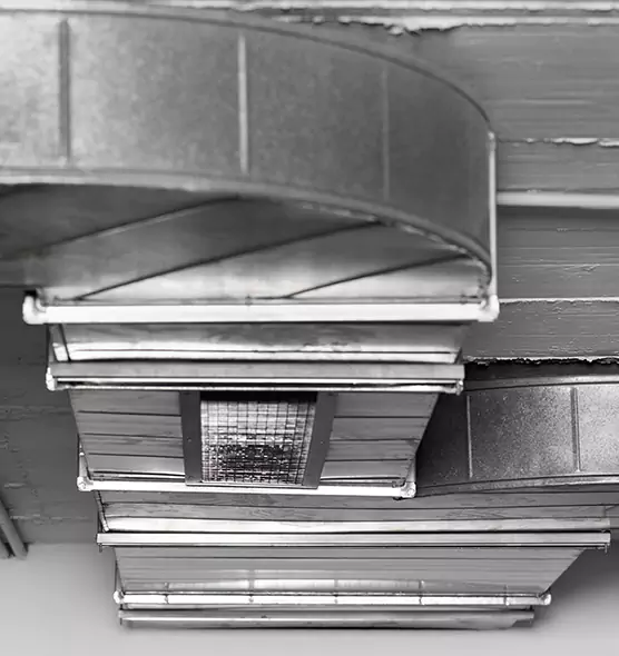 Professional Air Duct Pest Removal in Shawnee, OK