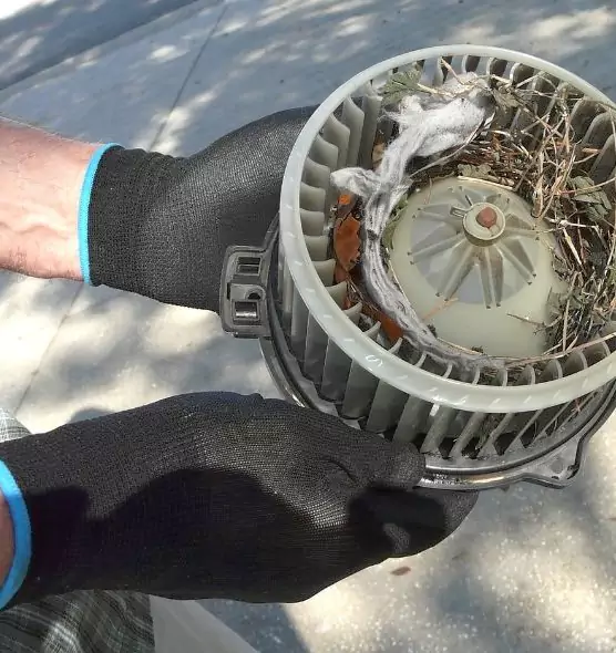 About Air Duct Rat Removal in Shawnee, OK