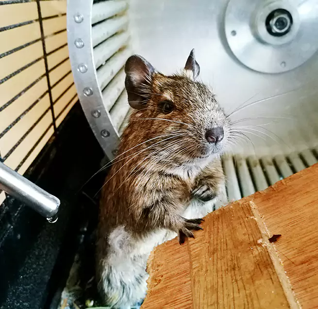 Why Homeowners & Businesses Trust Us Shawnee, OK